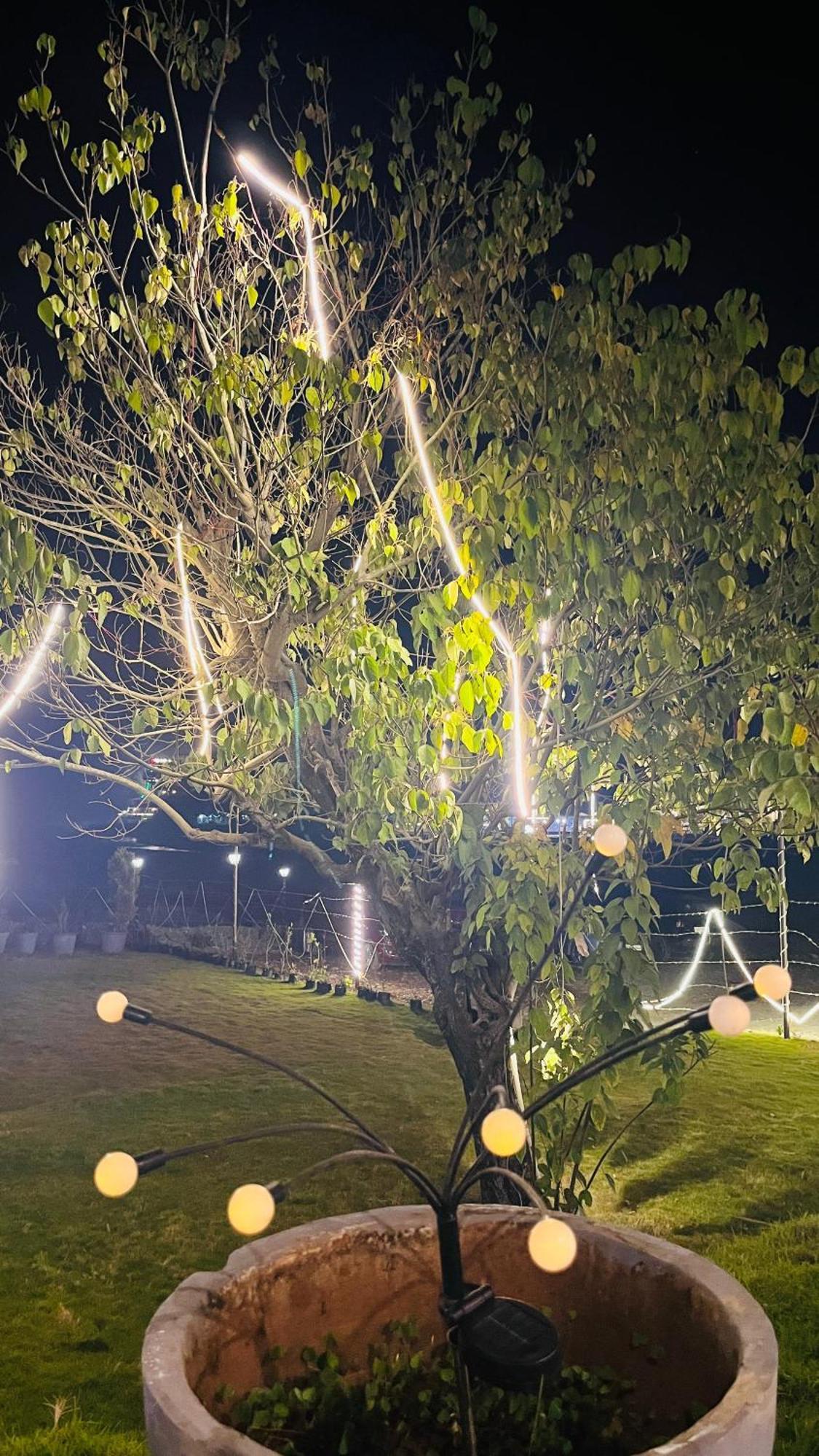 Aroma Resort Rishīkesh 外观 照片